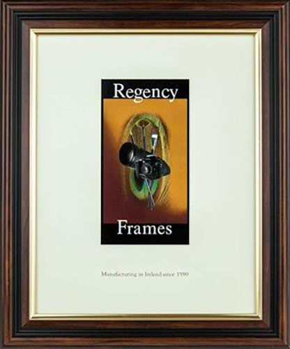 frames-mahogany-gold-506
